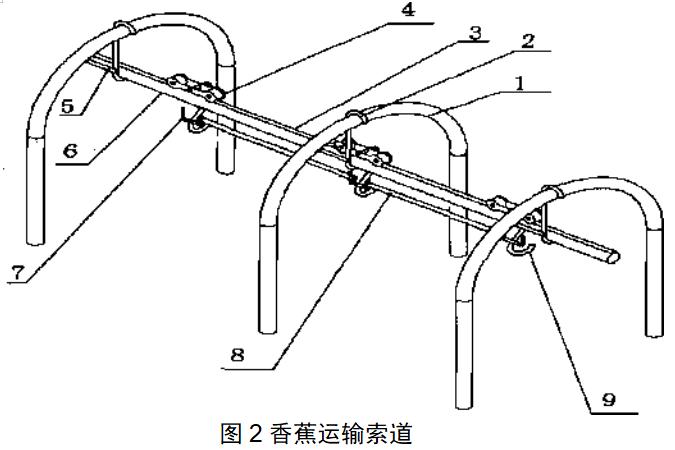 香蕉高产的施肥方法,香蕉种植高产秘诀