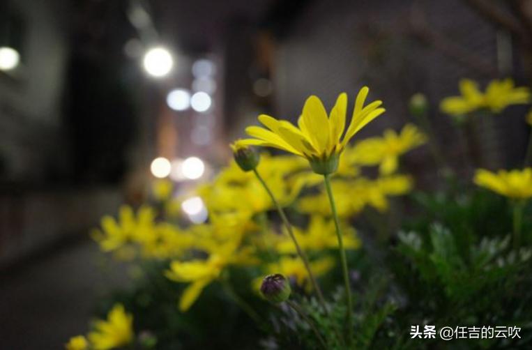 外网测评畅销和满意第一名的理光GRⅢ优势和不足