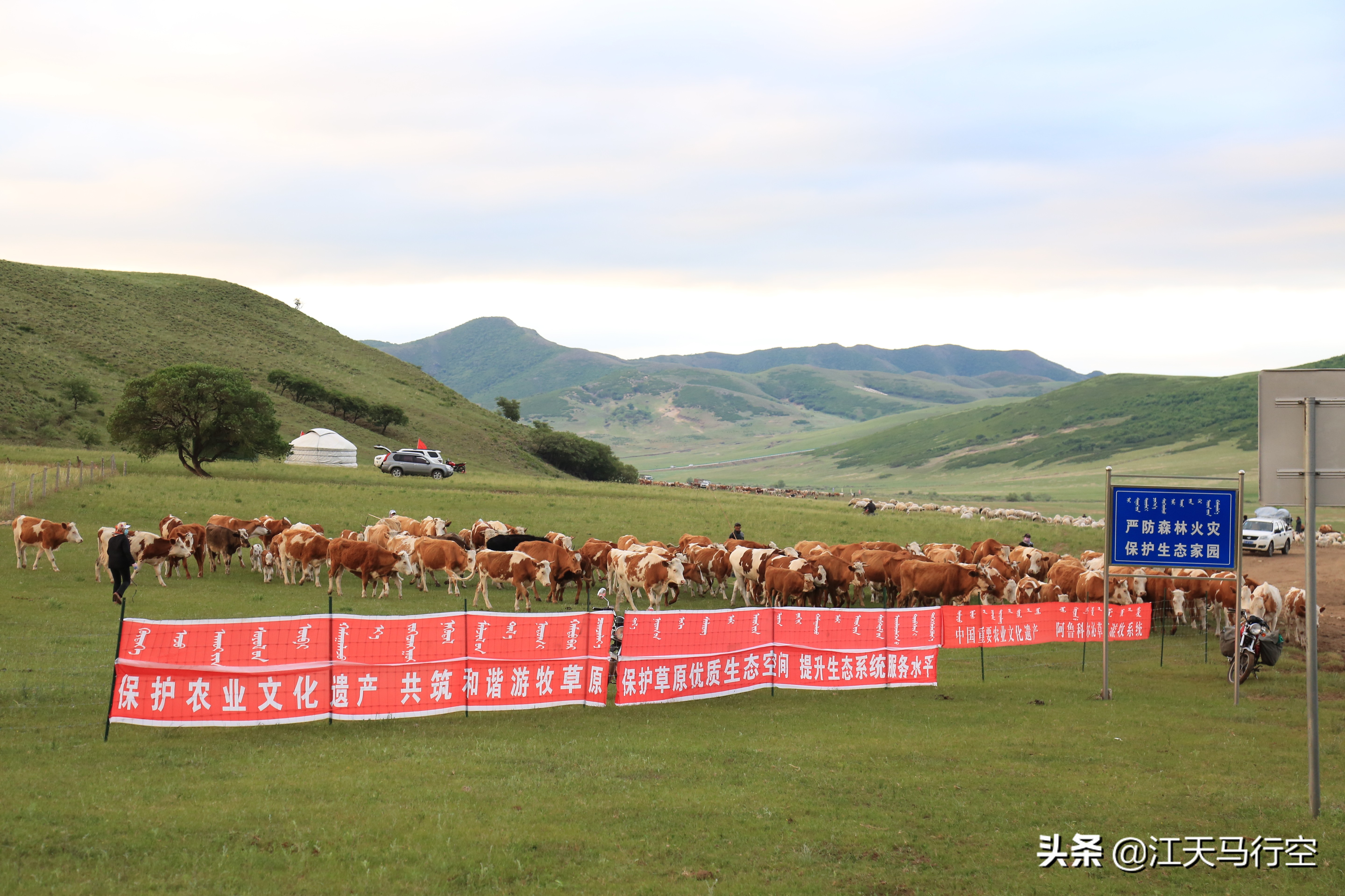 内蒙古草原与国家公园,内蒙古的草原自然公园