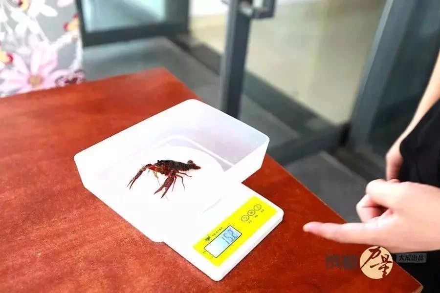 餐饮老板的自述和感悟,餐饮人老板日常分享