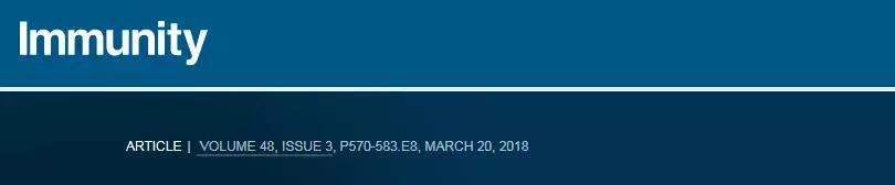 胃癌转肝癌免疫治疗和靶向治疗,免疫疗法治疗胃癌