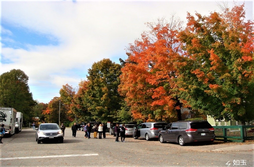 秋季到加东来看枫