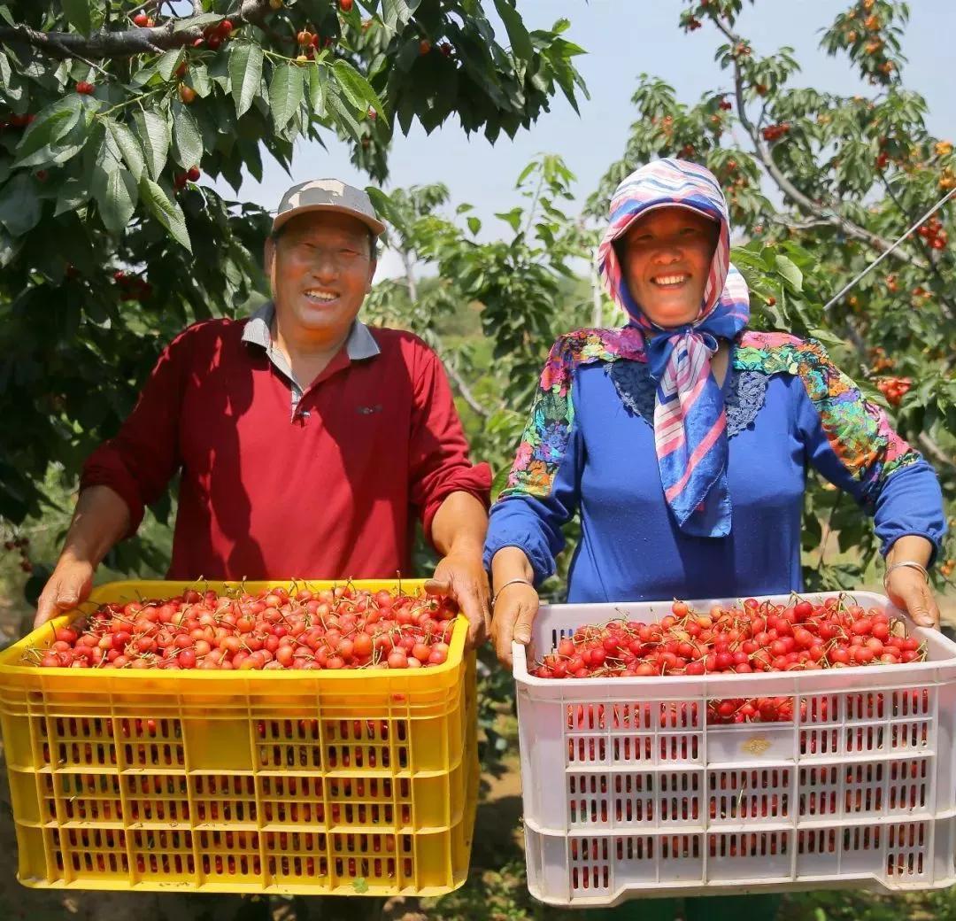 瀹朵埂娓歌,瀹朵埂閭唽