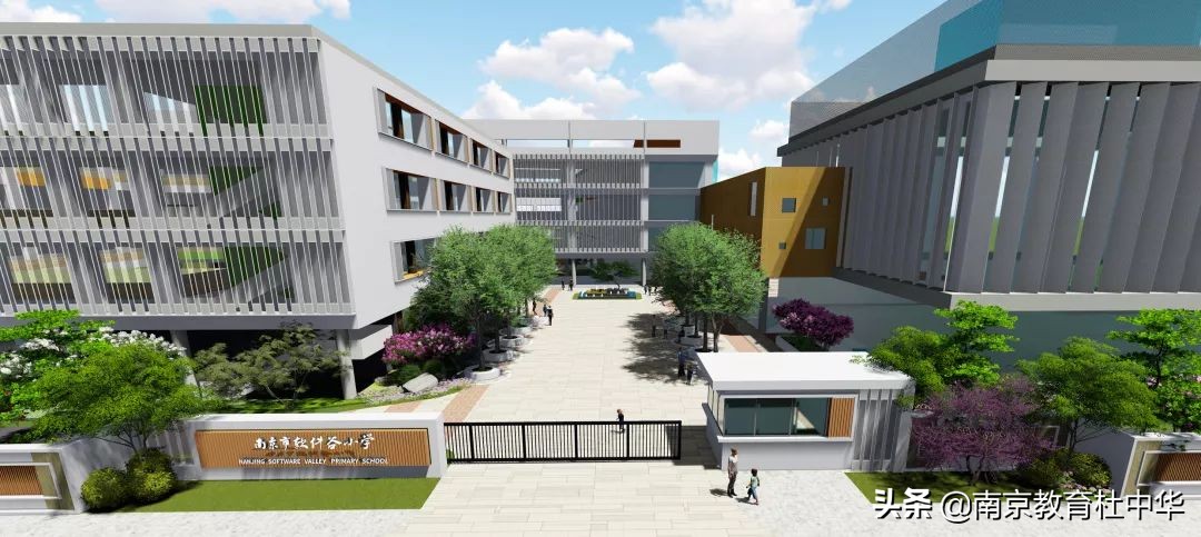 南京家长:码农咨询,雨花外小,雨花实小,软件谷小学选哪个好?