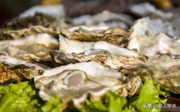 威海乳山牡蛎生蚝,乳山生蚝鲜活大牡蛎