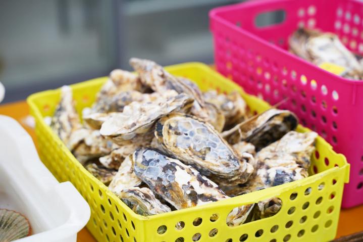 日本九州特急火车,日本九州观光火车攻略