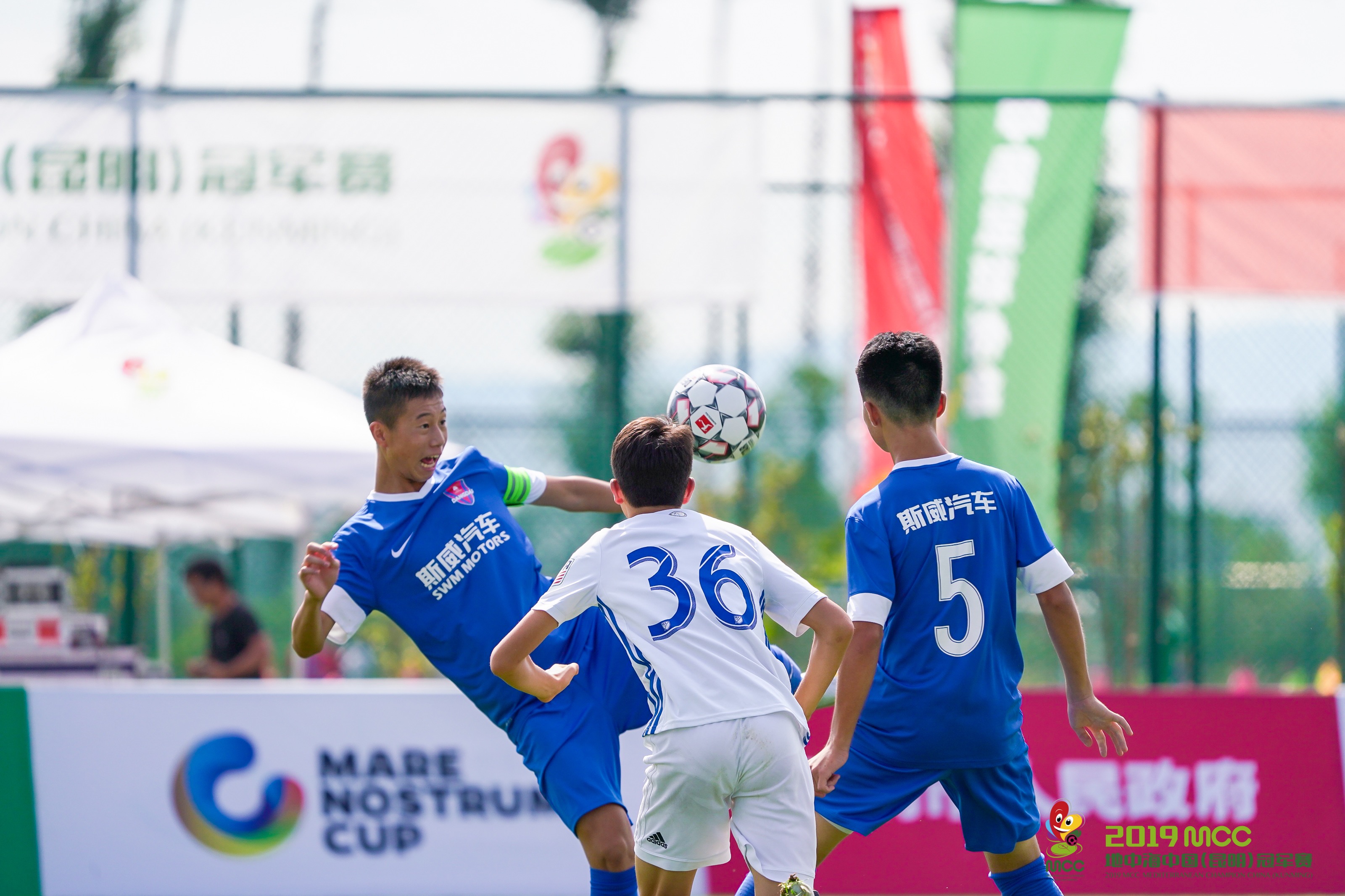 阿尔贝蒂尼谈中国崛起,阿尔贝蒂尼中国