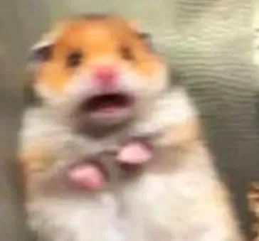 澳洲宣布破产的巨头,澳洲企业破产