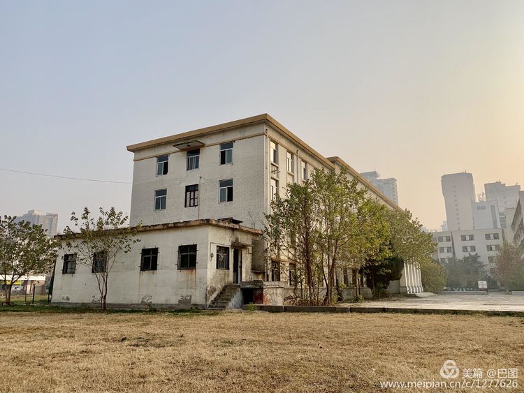 涧西牡丹广场老照片,洛阳牡丹手机拍照