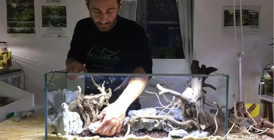 草缸造景教程：这个缸居然能装下一头“犀牛”？