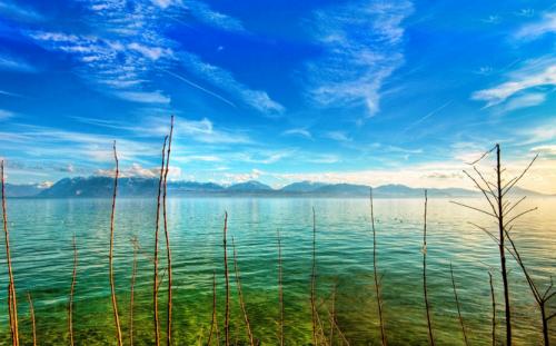 看名字识人直播,看名识人姓名学