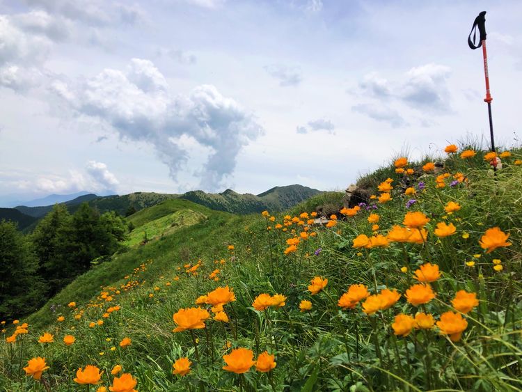小五台山景区游玩攻略,小五台山快乐一日游