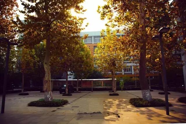 山师附中,山师附中历下区