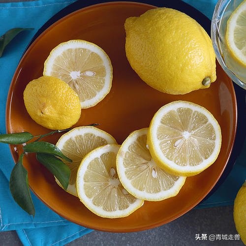 补钙补锌促发育,儿童生长缓慢什么食物补钙最好