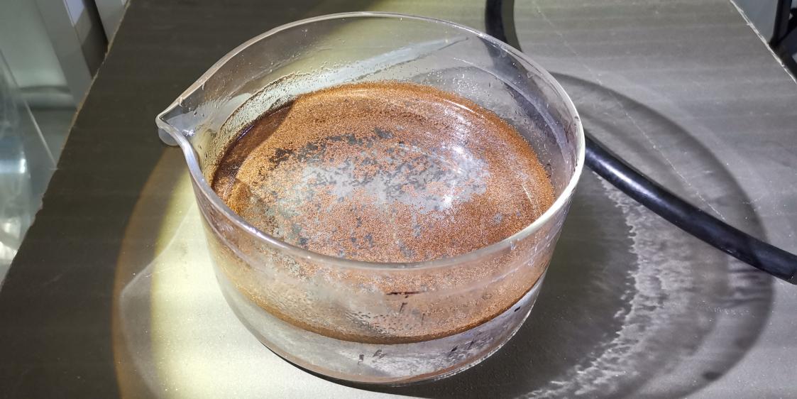 水母宝宝怎么弄才能长大,水母一次喂多少食隔几天再喂