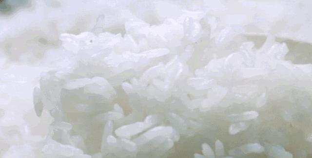 大米测评哪个最有营养,真正好吃又健康的大米