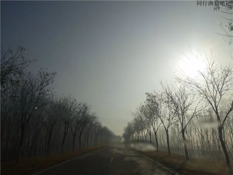 其貌不扬的一位钓友,谁成想竟是一位抛投高手