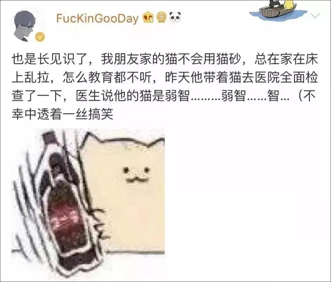 我们家猫真的很弱智怎么办,猫为什么又蠢又自以为是