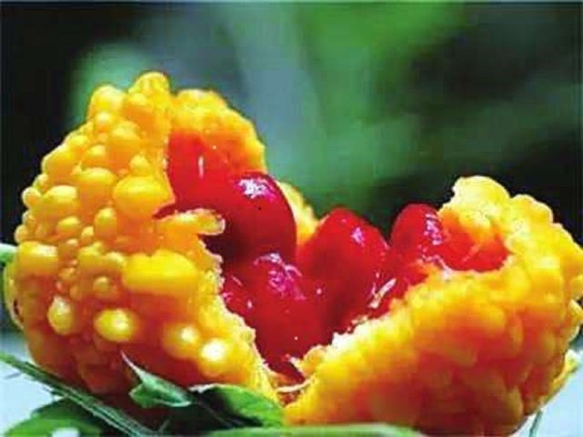 被家长骗吃过的食物,小时候被父母骗长大了