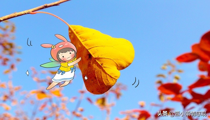 真正厉害的人一般都做到了这4点,真正厉害的人应该具备这三点品质