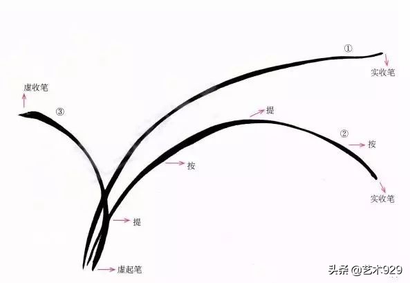 国画兰花画法免费技法教程,国画兰花绘画图
