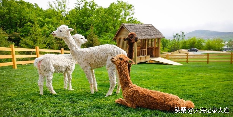 5.1小长假旅游大连,大连小长假旅游攻略