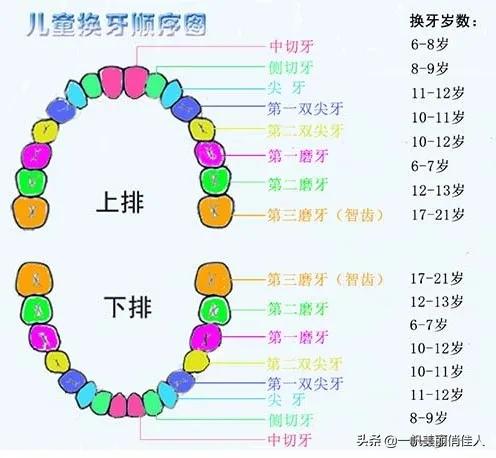 孩子越长越丑的真实原因,7岁以上孩子发展阶段