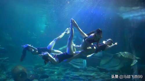 武汉市海洋馆有什么好玩的,武汉海洋馆附近有什么好玩的地方