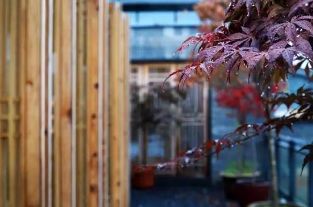 黄山黎阳老街民宿,古徽州文化旅游景区的民宿