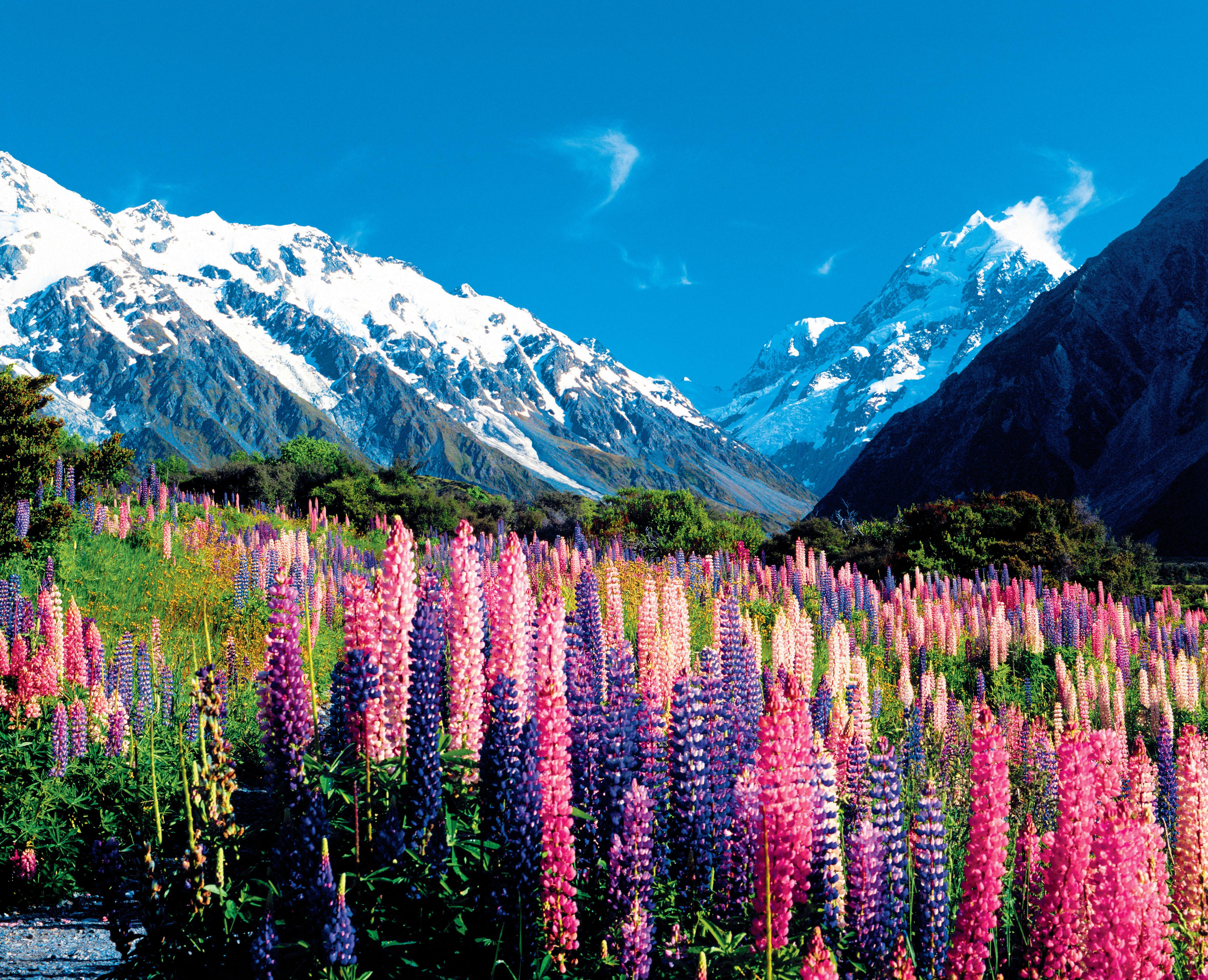 新西兰皇后镇度假多少钱,新西兰皇后镇置业