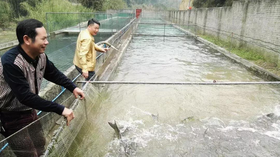 浣涘北鏈夐棿浜烘皵鐖嗘鍐滃簞,浣涘北閲戠墝鍐滃簞