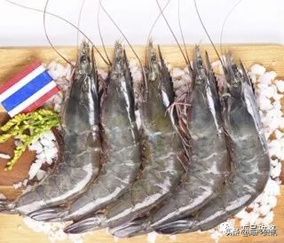 南美白对虾最全知识科普,南美对虾科普知识大全