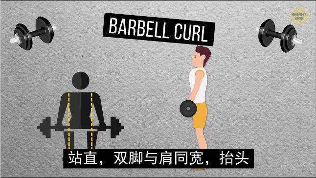 怎么练手臂的肱三头,怎么才能练出手臂的肱三头肌