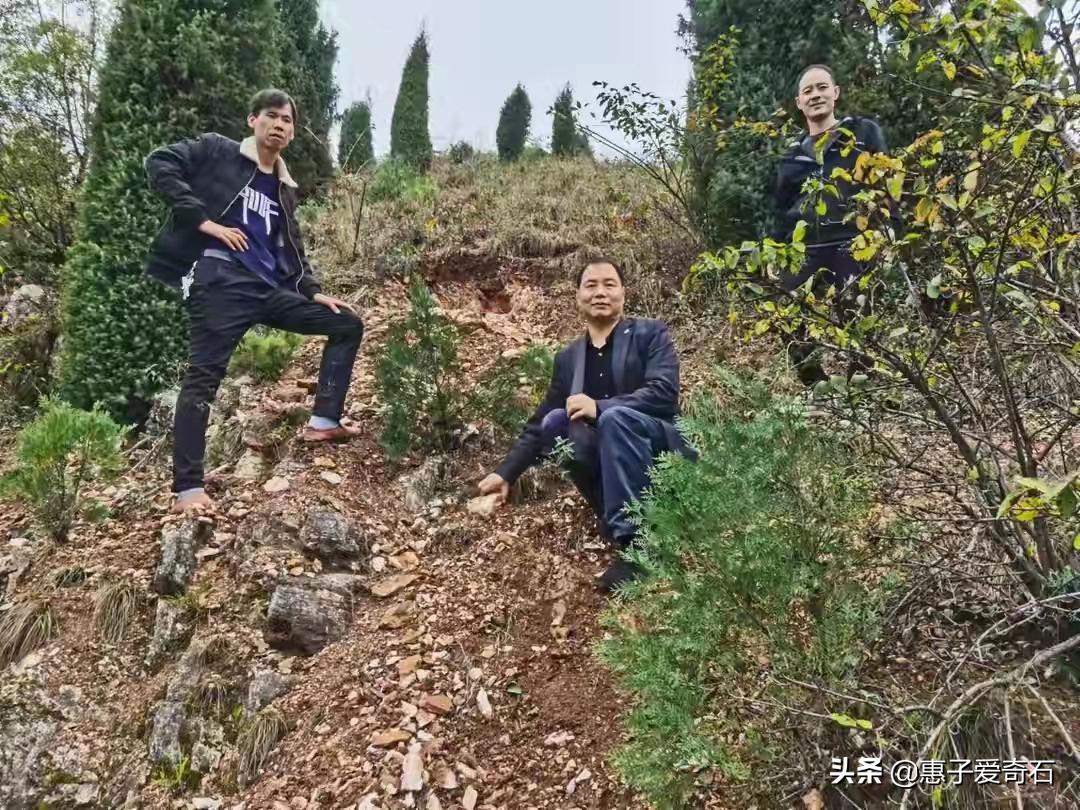 陕西新发现的玉矿,陕西发现紫绿色的玉