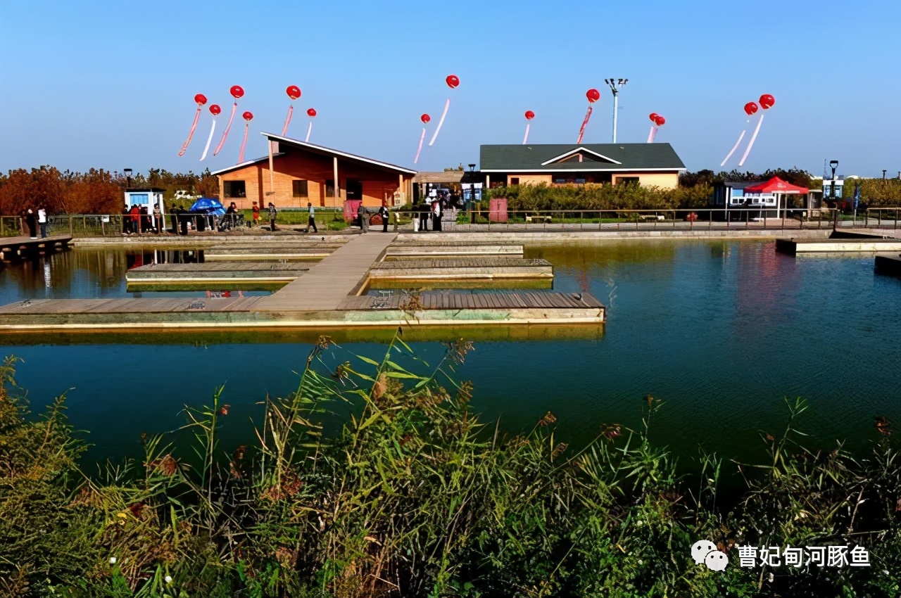 曹妃甸的新传说,渤海湾曹妃甸的魅力