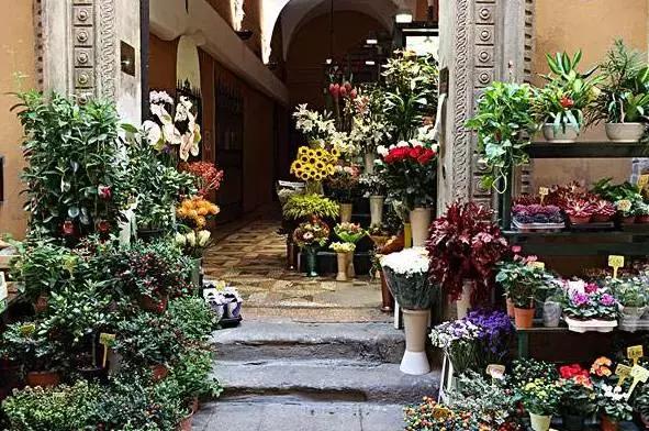 花店多赚钱,花店一个月一般能赚多少钱