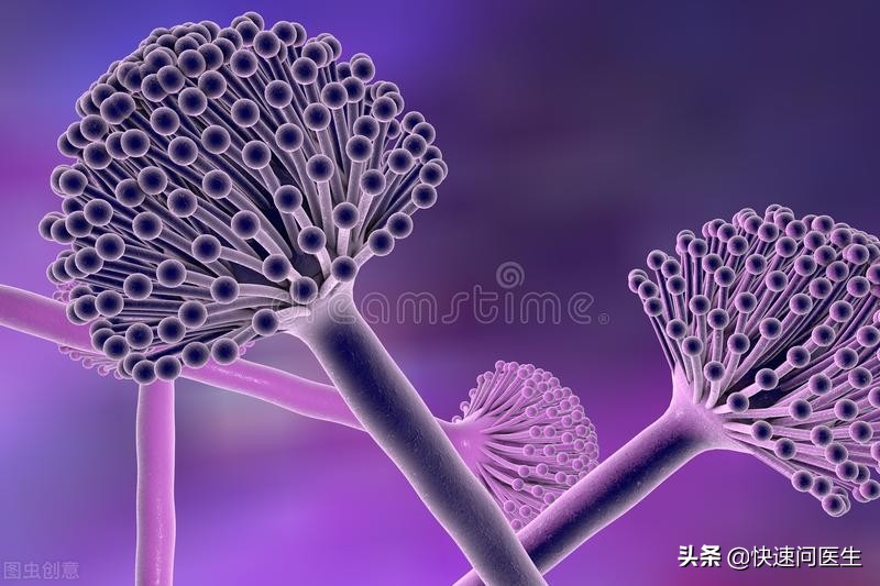 阴道炎的分类区别及治疗,阴道炎的种类及症状一览表