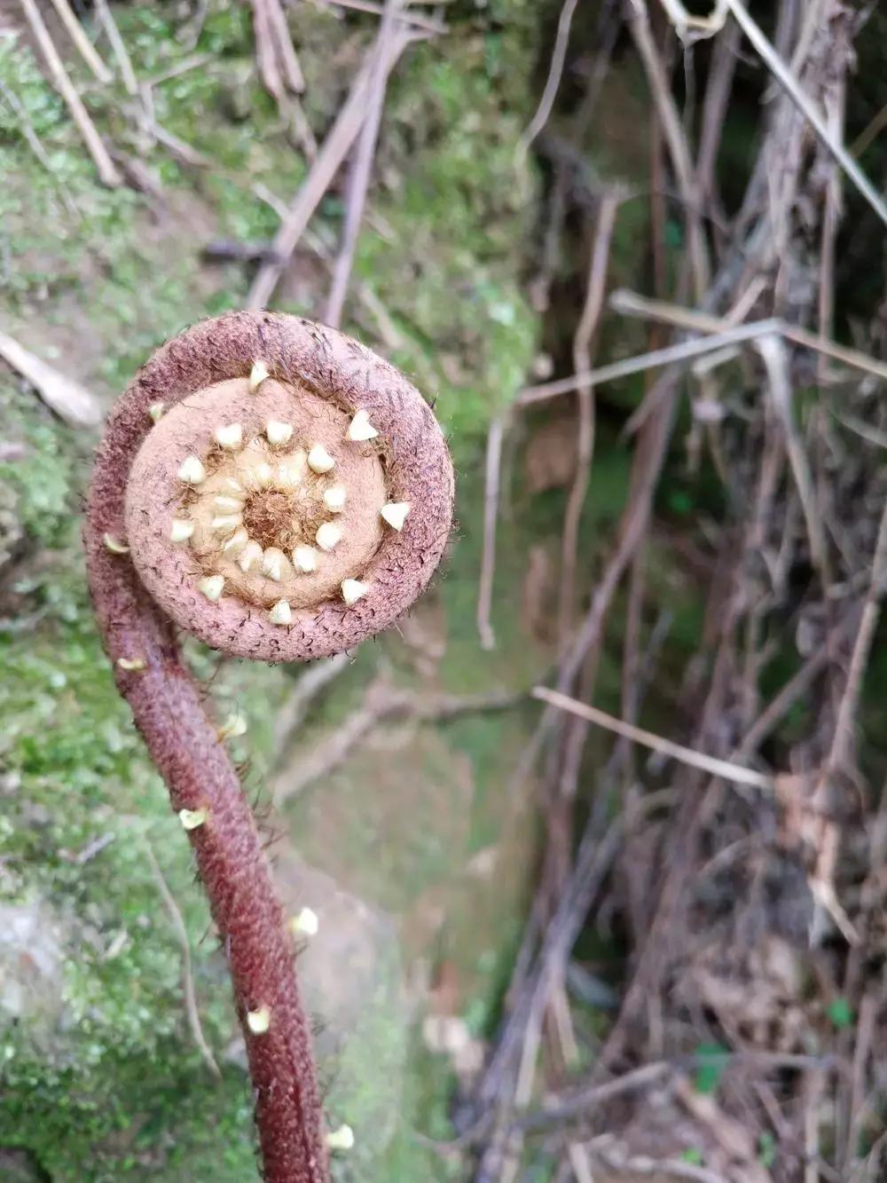 摄影作品点评差,熊猫摄影评分