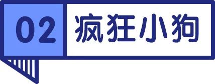 猫狗零食冻干鸡肉,送检猫狗零食