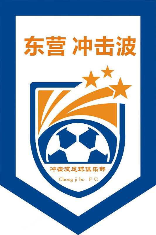 山东省青少年足球联赛队徽,山东省队徽章