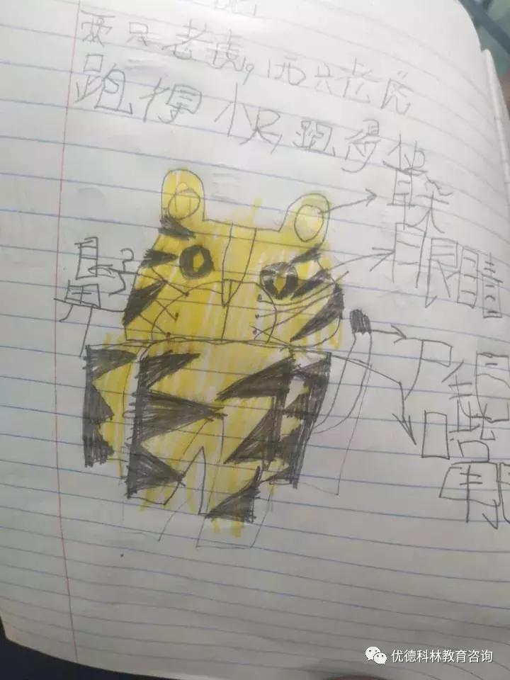 想去泰国当中文老师有什么要求,中国人如何去泰国当中文老师