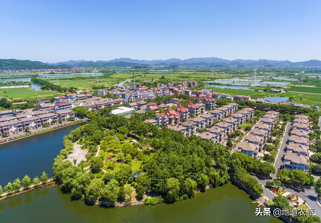 看她如何从砂砾到宝珠，实现乡村振兴，仅线上销售就达20亿