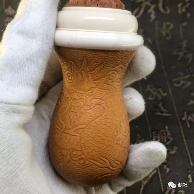 黑虫葫芦的养护,虫具葫芦怎么选