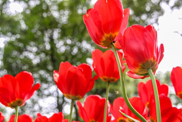 男人30多岁还没有结婚，要么开心豁达自由自在，要么唉声叹气