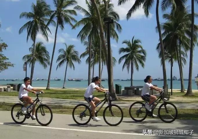 新加坡旅游攻略推荐花园,新加坡花园最新消息