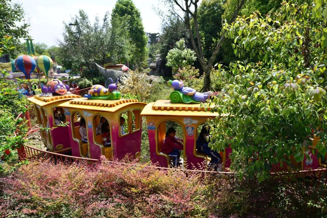 成都南湖梦幻岛嬉水乐园清凉回归,梦幻岛水陆乐园套票