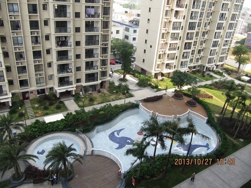 广西北海市候鸟栖息地,广西北海候鸟过冬视频