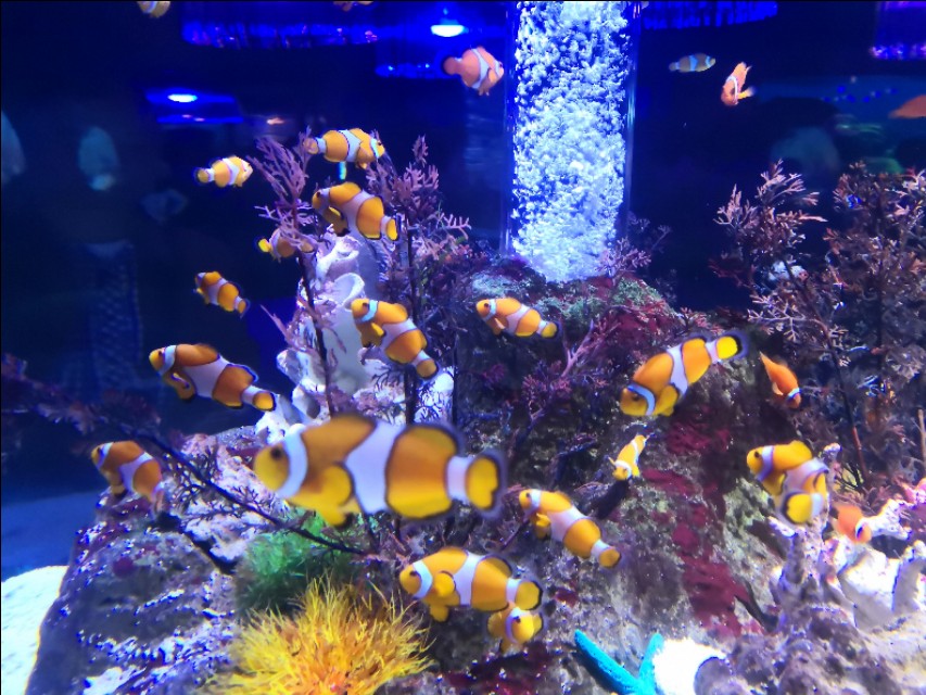 北京工体富国海底世界周一营业,北京工体富国海底世界旅馆