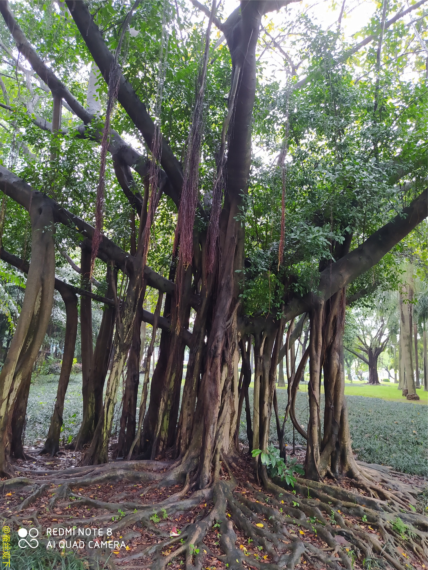 韶关新丰云髻山古城,韶关新丰云髻山游记