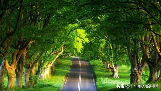 轻松日赚千元,如何快速日赚几百元